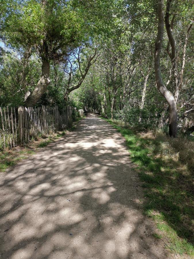 Griad In De Duinen De Haan Exterior foto